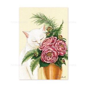 7.ねこと芍薬 ポストカード / White Cat and Peonies Postcard