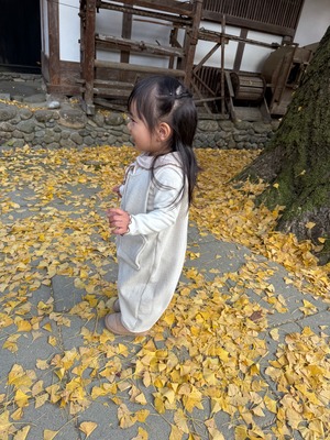 即納♡ 80-100 Pocky Overall  / anggo