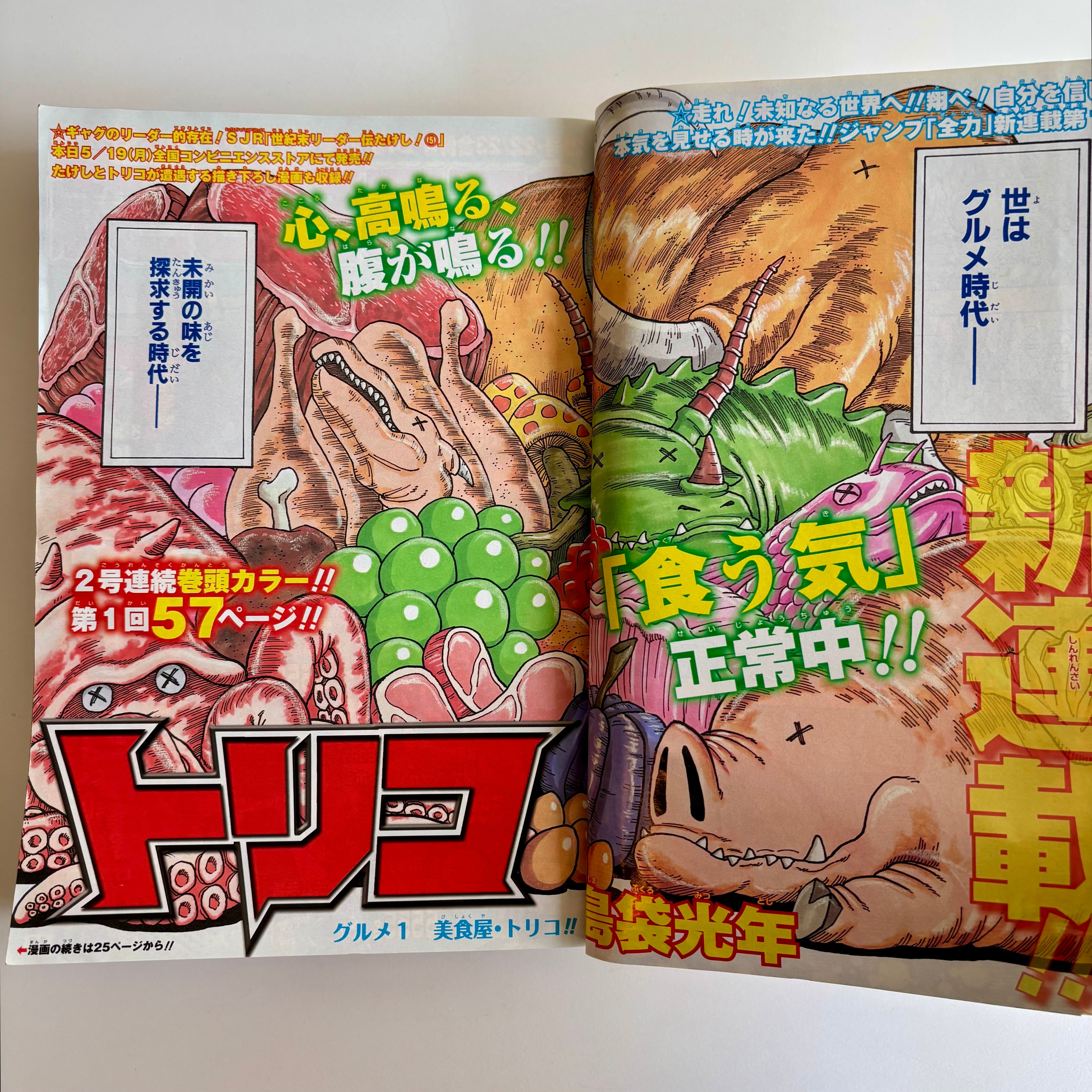 週刊少年ジャンプ 2008年 25号 集英社 トリコ 島袋光年 新連載 | 古書