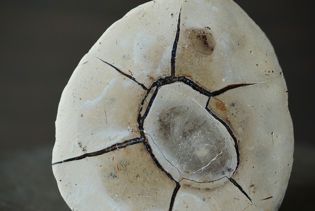 マダガスカル産セプタリアン Septarian 1394