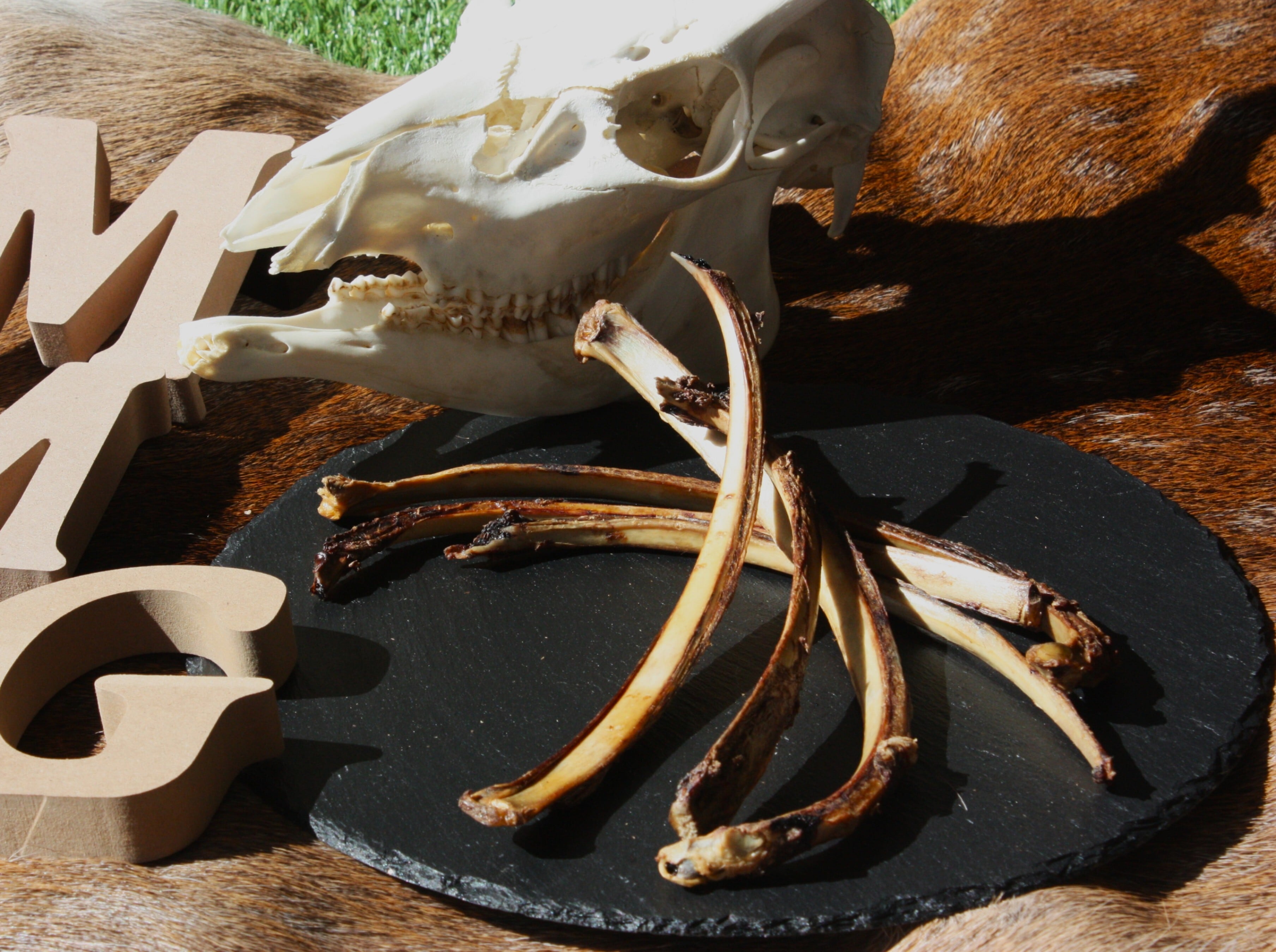 あばらスティック