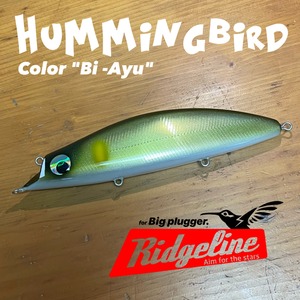 Hummingbird original / 美鮎