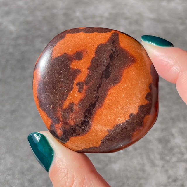 Zebra Stone ゼブラストーン|Palm パーム|天然石　パワーストーン　鉱物　gem stone