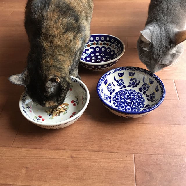 限定品】北欧 ポーランド食器 おしゃれ 猫 犬 高さのある餌皿 フード