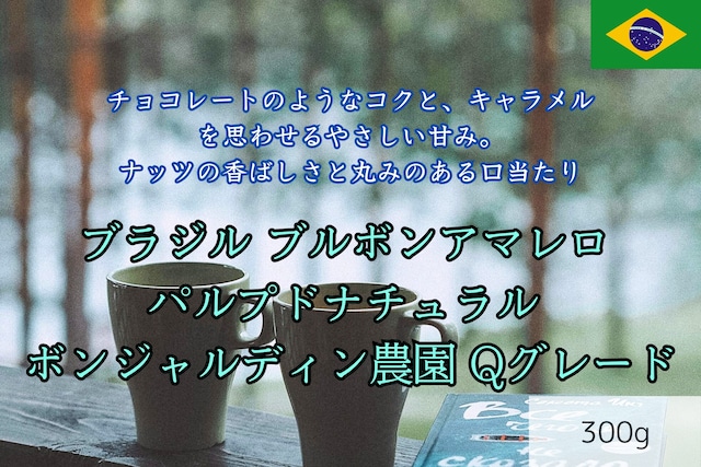 ブラジル ブルボンアマレロ パルプドナチュラル ボンジャルディン農園 Qグレード　300g