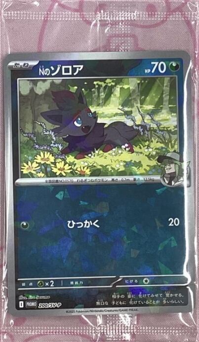 【美品】Nのゾロア(未開封(プロモ)