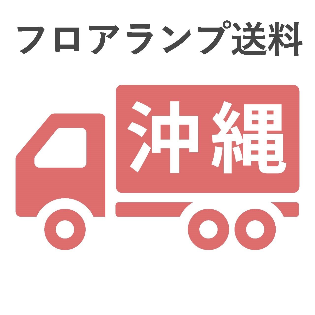 BL-F481,484,806送料 沖縄