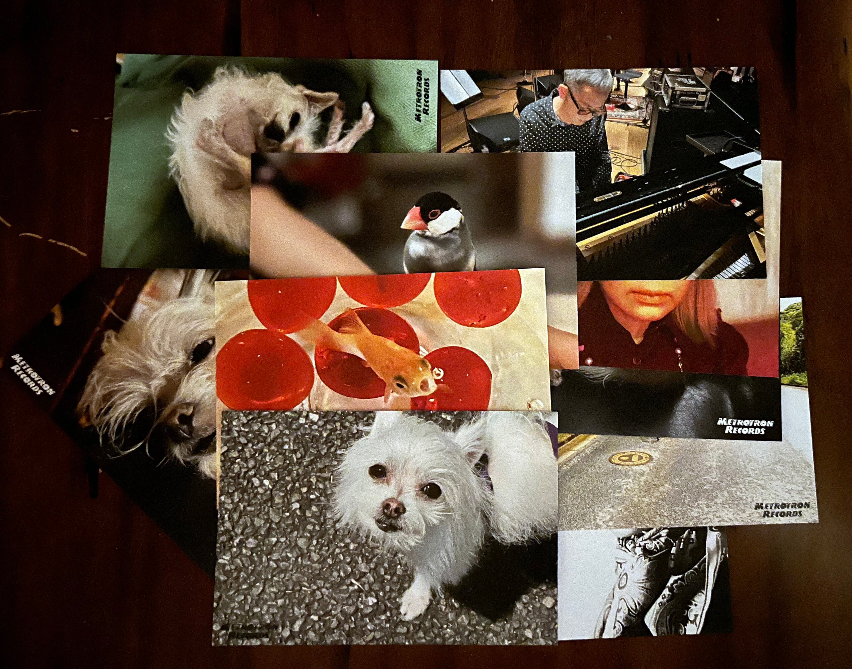 Liner notes 404”『Amorphous 404』のポストカード型ライナー