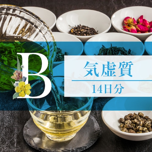 和漢体質茶Bタイプ気虚質14日間分