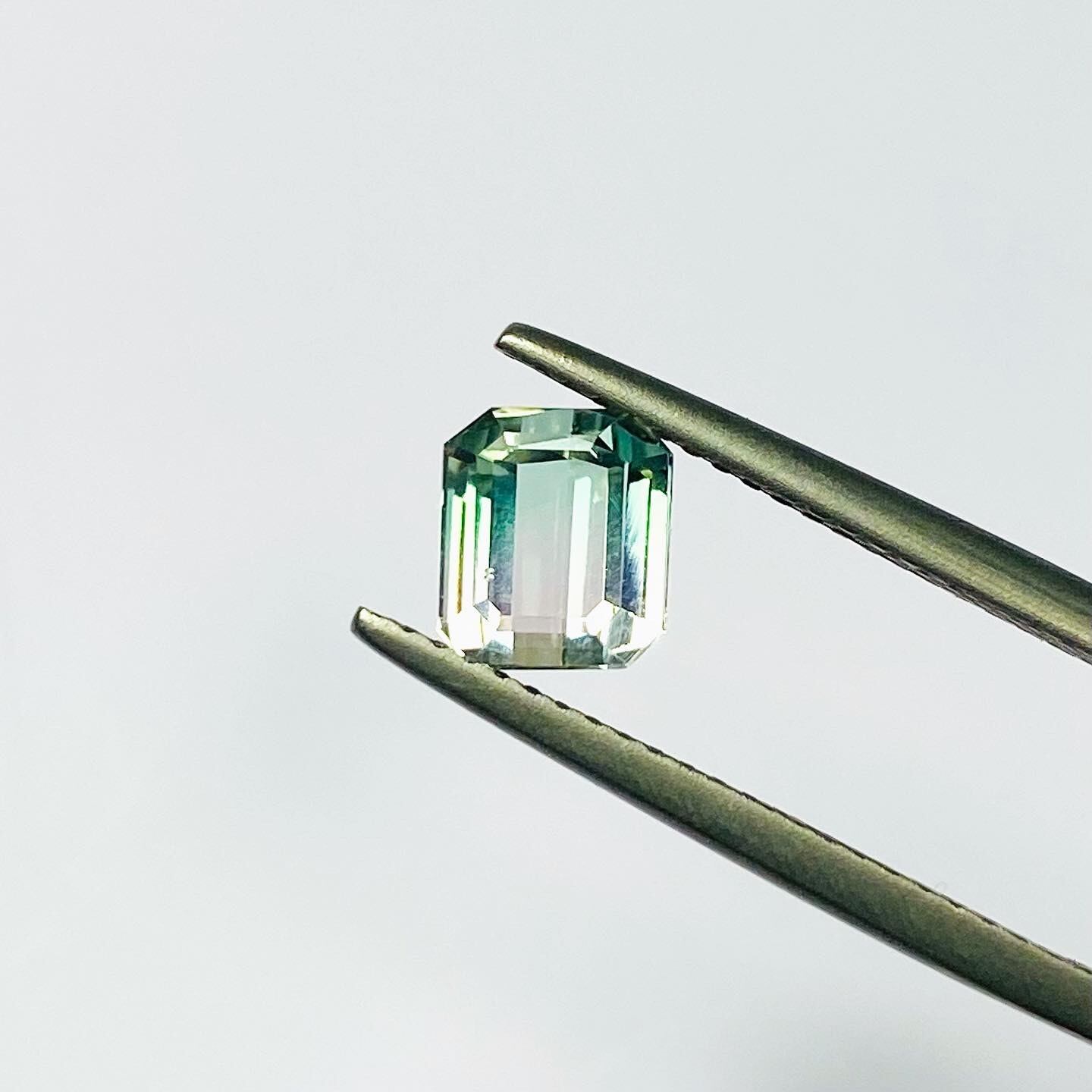 王子様お姫様バイカラートルマリン3