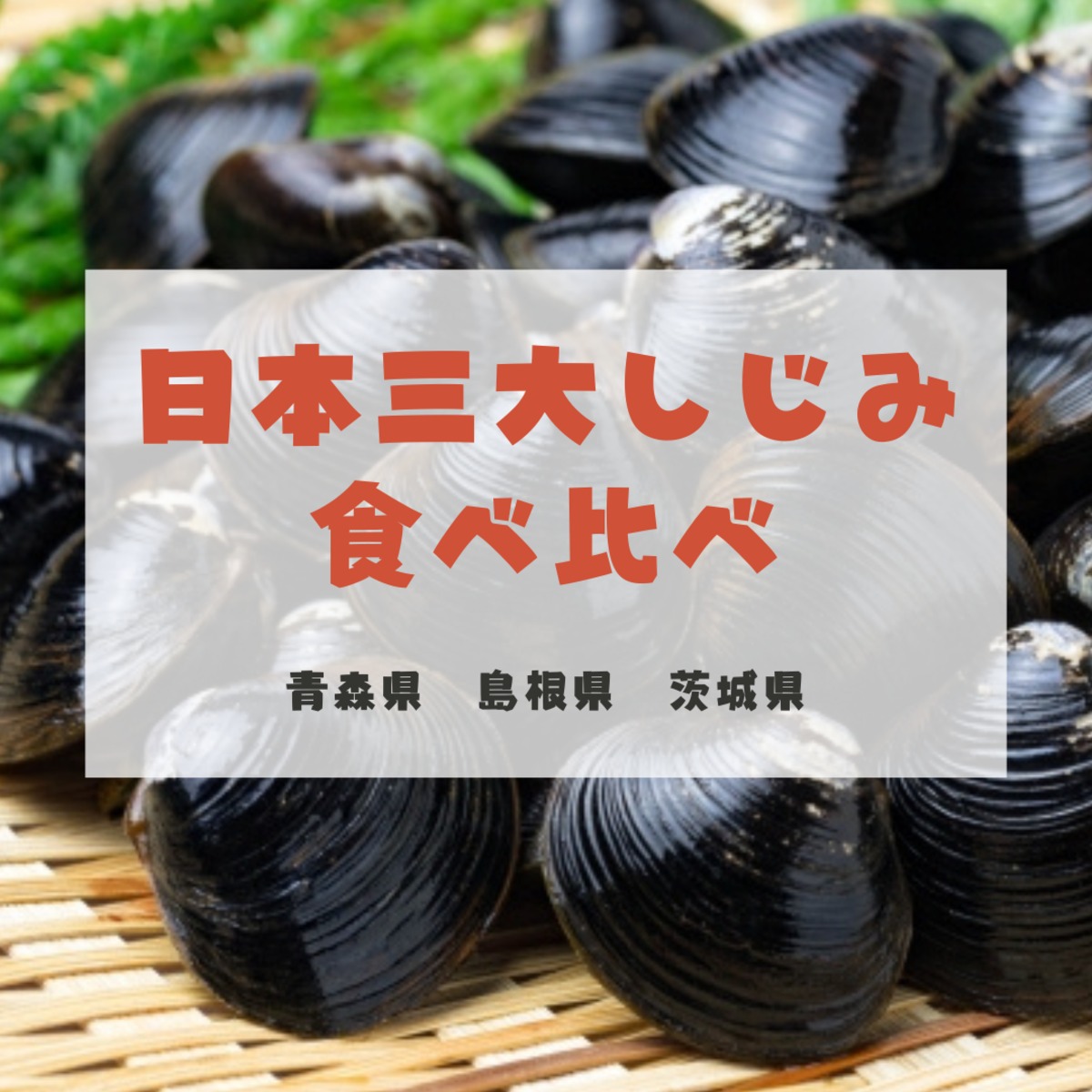 ec51c1eee6b6ac1f8a31f9e0fb671b