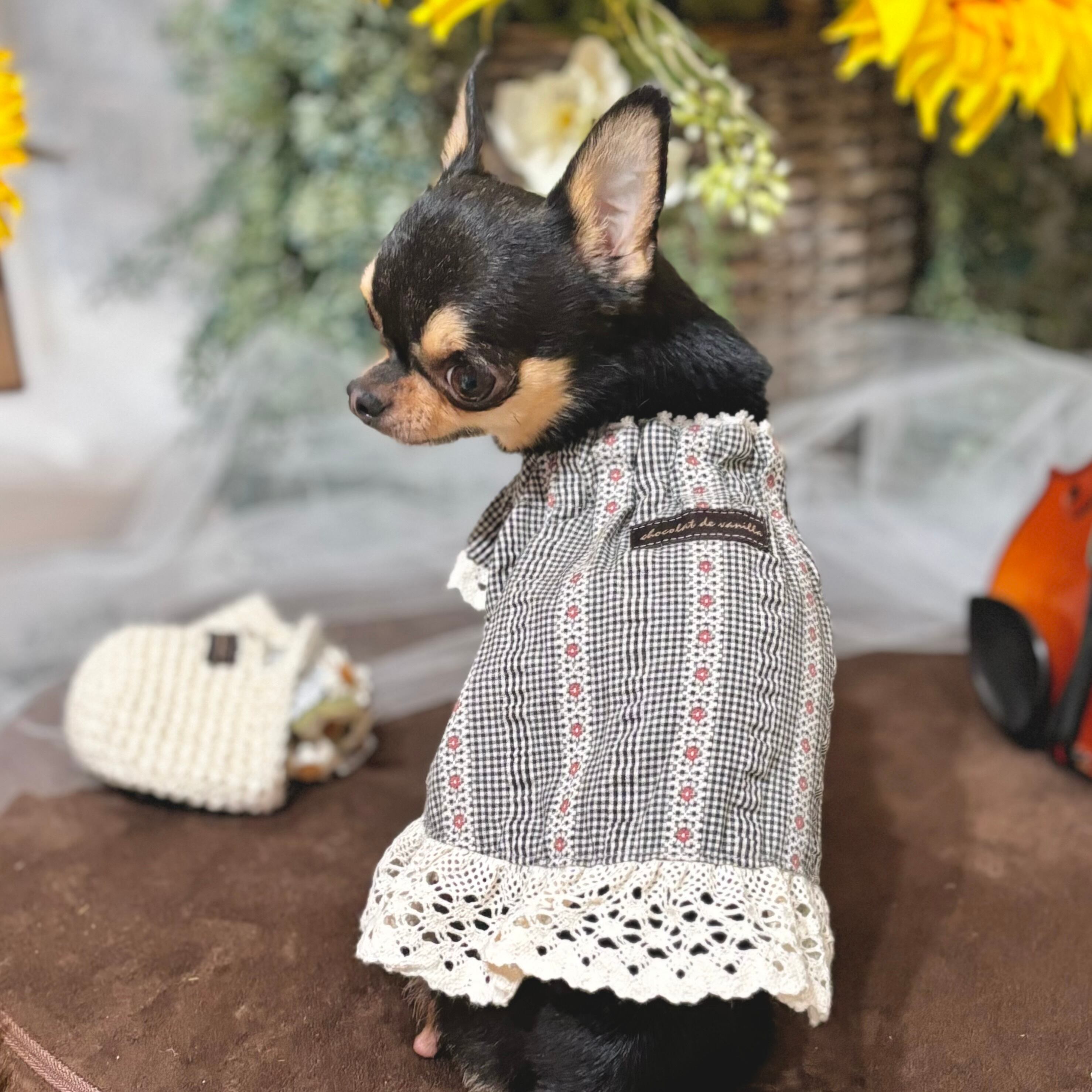 アトリエGG NoelCamisole 16 GG MADE IN TOKYO.』『GG+KIITI』『GG