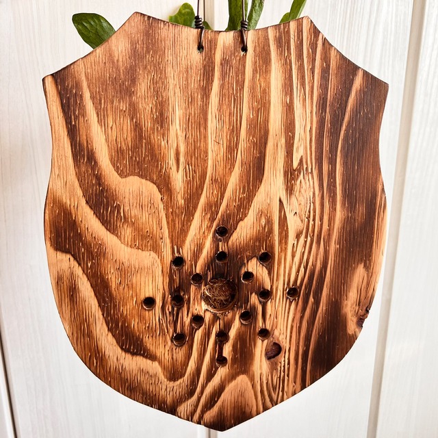 ビカクシダ グランデ 板付 【観葉植物 壁掛け コウモリラン】