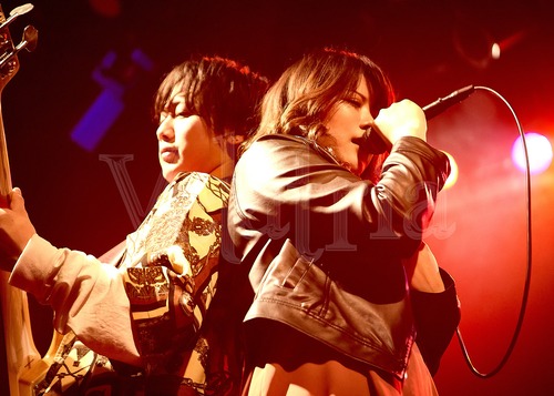Velatria / 初台DOORS / 200124-0622