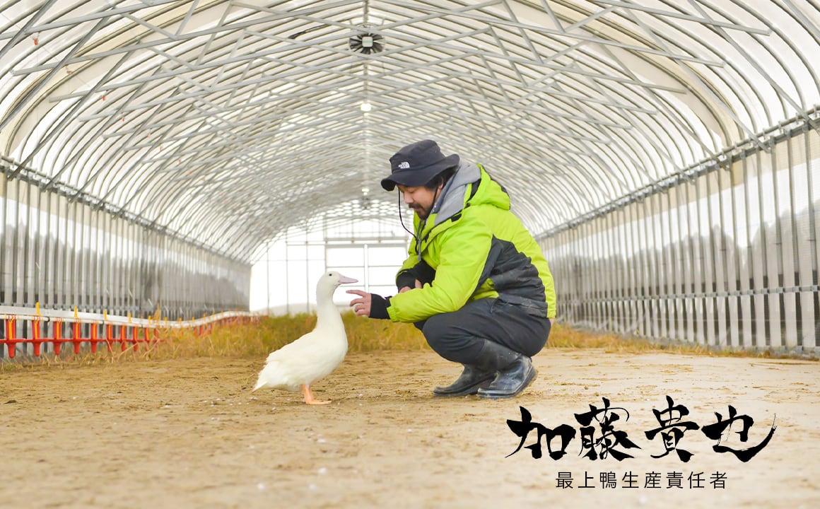 究極の美◼️蔵からかなりステキな雪に梅に鳥の図柄の茶碗が出てきまし