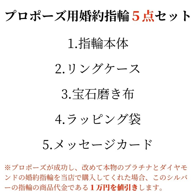 1カラット版 2点留め伏せこみタイプのプロポーズリング プロポーズリング プロポーズ用婚約指輪の販売 プロポーズリング屋さん 1カラット版 2点留め伏せこみタイプのプロポーズリング プロポーズリング プロポーズ用婚約指輪の販売 プロポーズリング屋さん