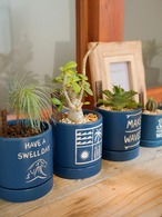 Blue plant pot