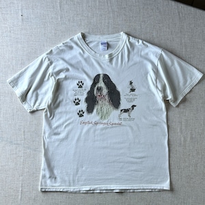 00's English Springer Spaniel Dog Print T-Shirt / Honduras / XL