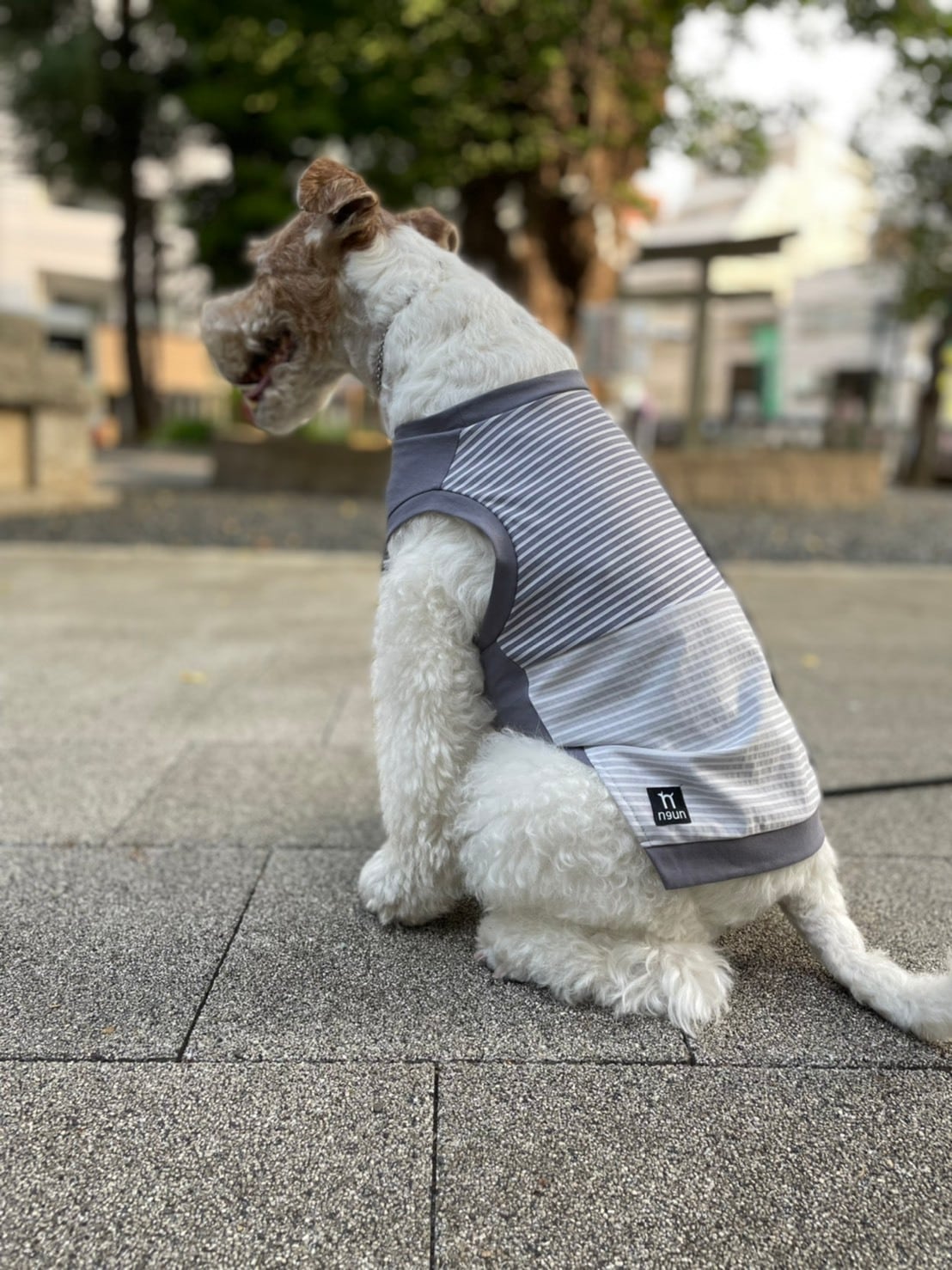 ストライプブロックCOOLタンクトップ 〈GRAY〉 | n9un