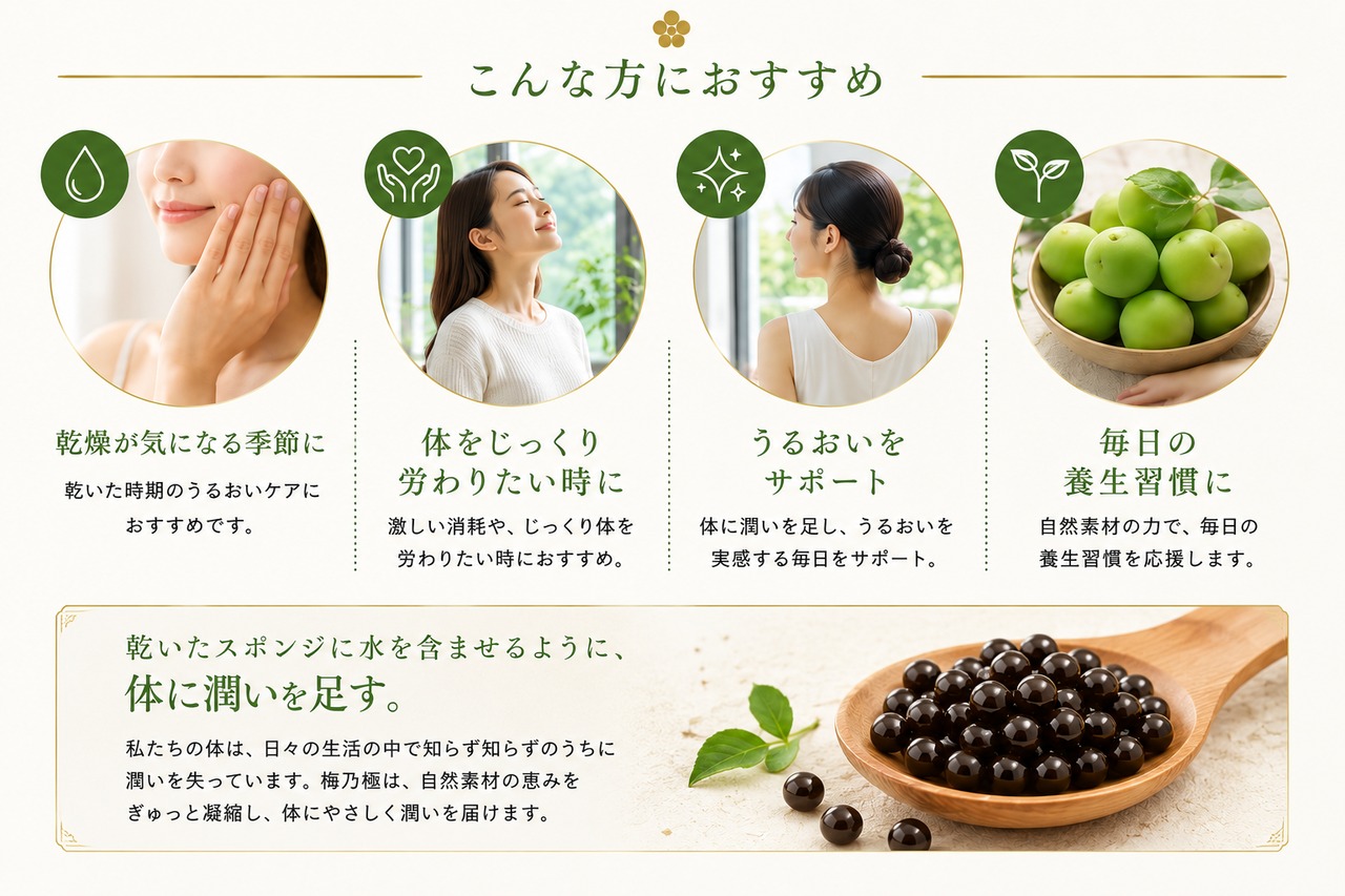 梅乃極