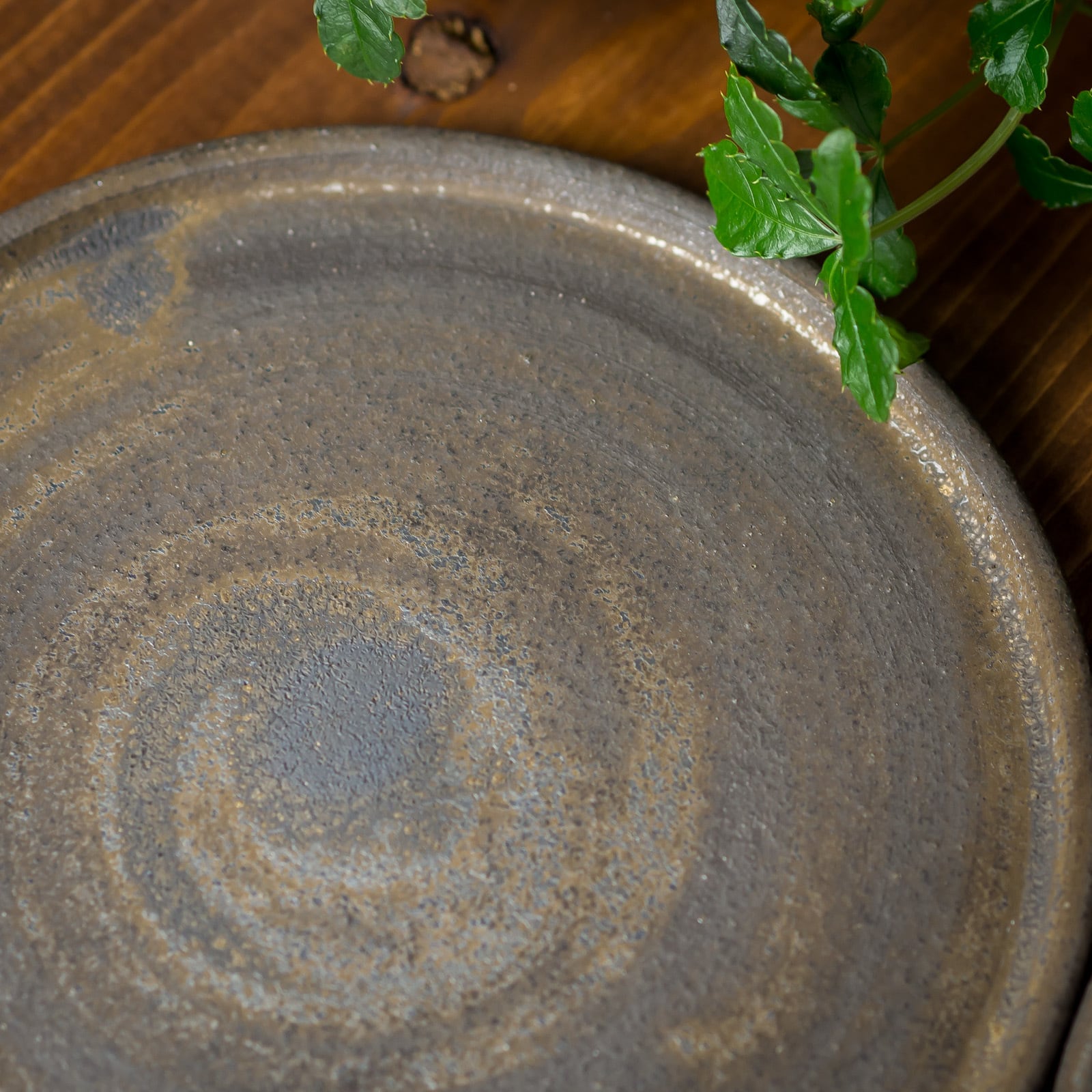 備前焼 中国国際陶芸展 入選作家 井上武 径22.5cm 皿 自然釉灰