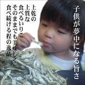 創業70年の匠　特大 煮干いりこ〔香川県産〕120g