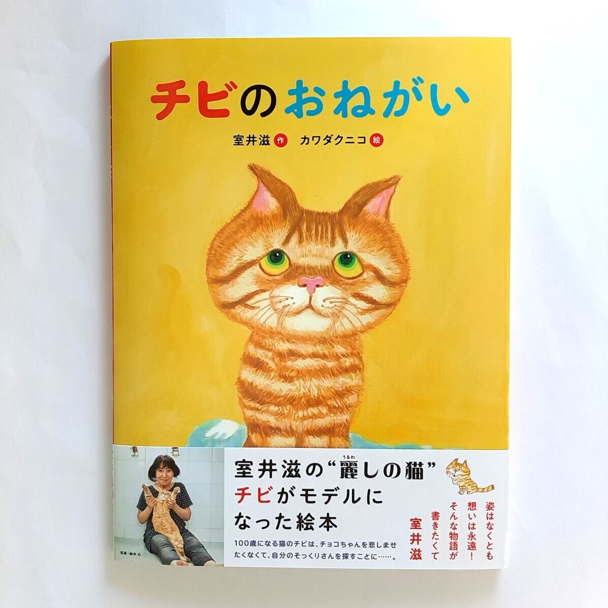 【中古】 チビねこチビとかあさん桜 Amazon.co.jp: チビねこチビとかあさん桜 (ことりのほんばこシリーズ