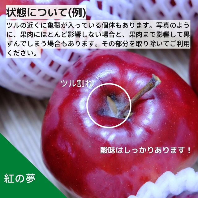 食べ比べが楽しいりんご８個セット（４種類）【発送日選択】（クール送料込）