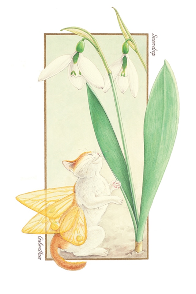 妖精猫ポストカード　BOTANICAL FANTASY シリーズ　白＆ブチ猫セット 10種（各１枚）