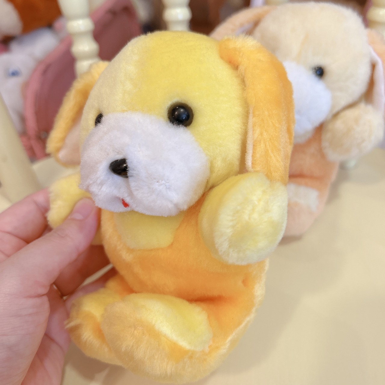 dogの画像02
