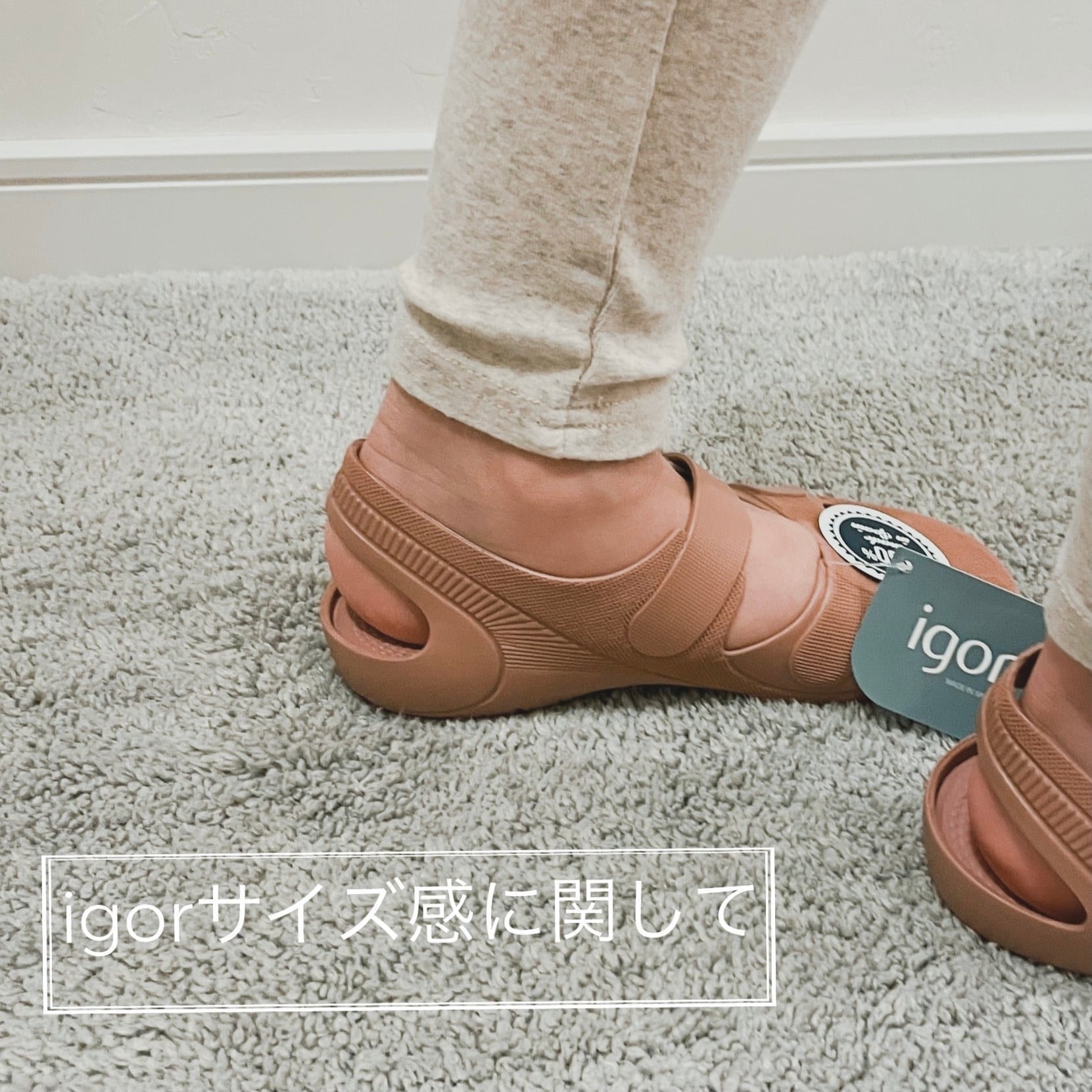 【Igorのサイズ感に関して】