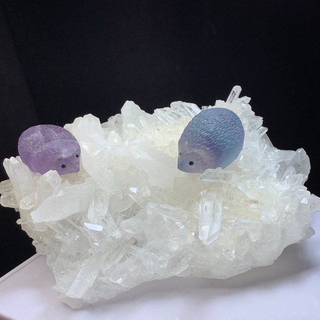 2.フローライトハリネズミが住み着いている水晶クラスター