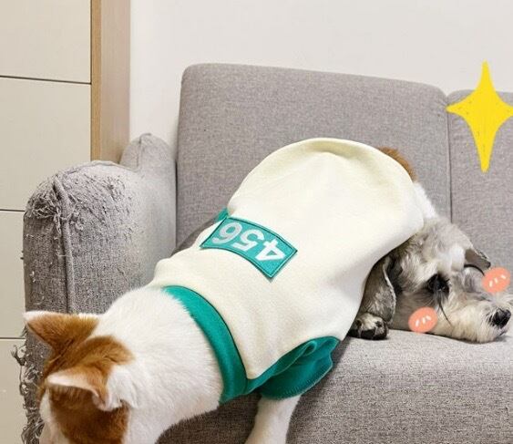 在庫わずか イカゲーム風トップス 犬 猫 661 Candydogg