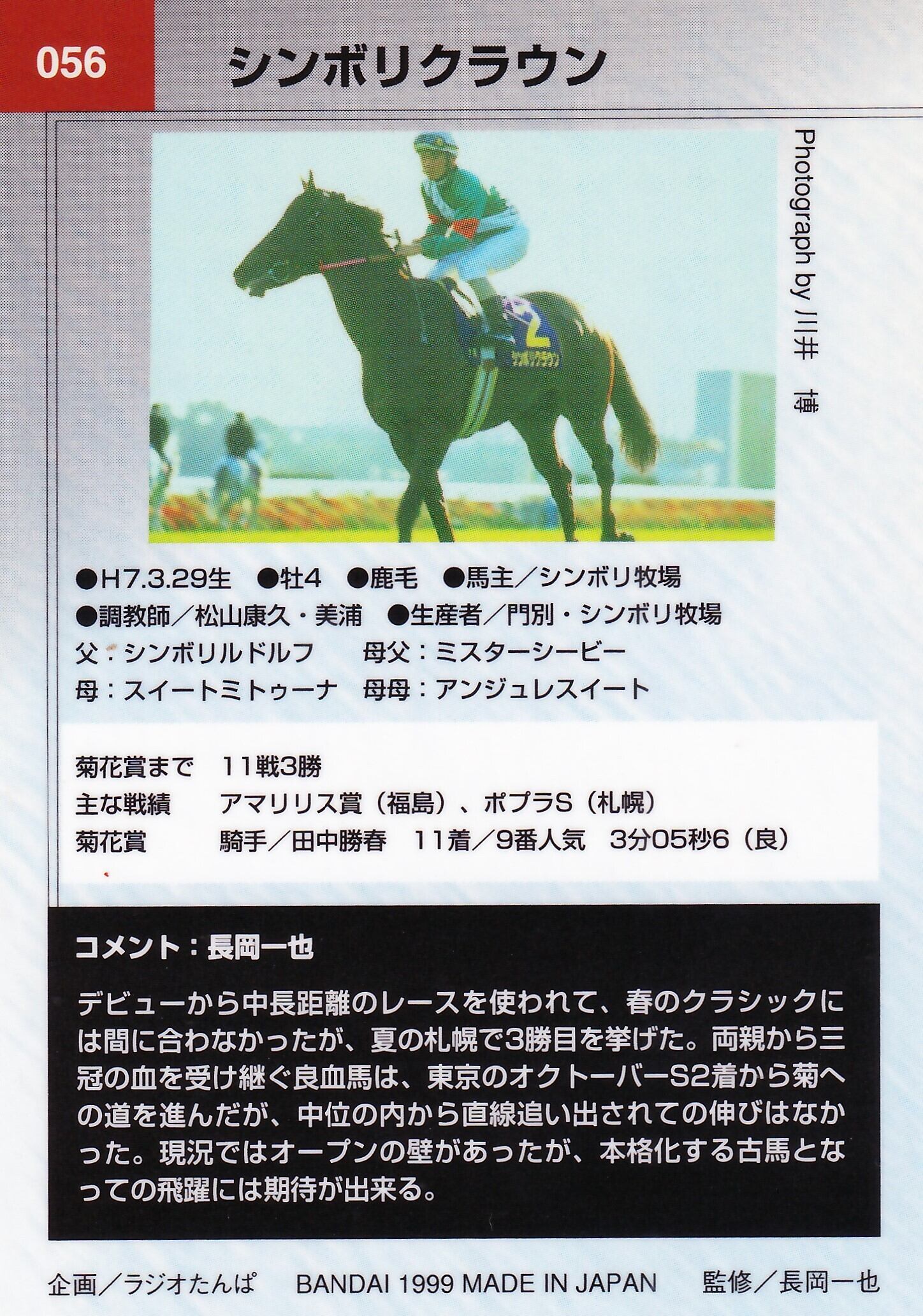 シンボリルドルフ 三冠記念 シンボリルドルフ 三冠記念 シンボリ牧場 