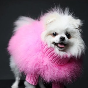 Christian Cowan x maxbone Jumper(pink)