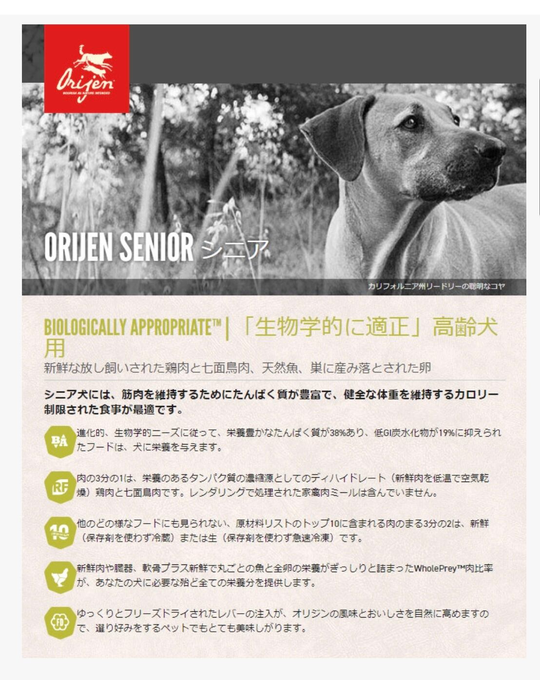 ラスト！originオリジン シニア11.4kg送料無料 ORIJEN（オリジン） オリジナル 11.4kg 正規品 0064992182120 : UG