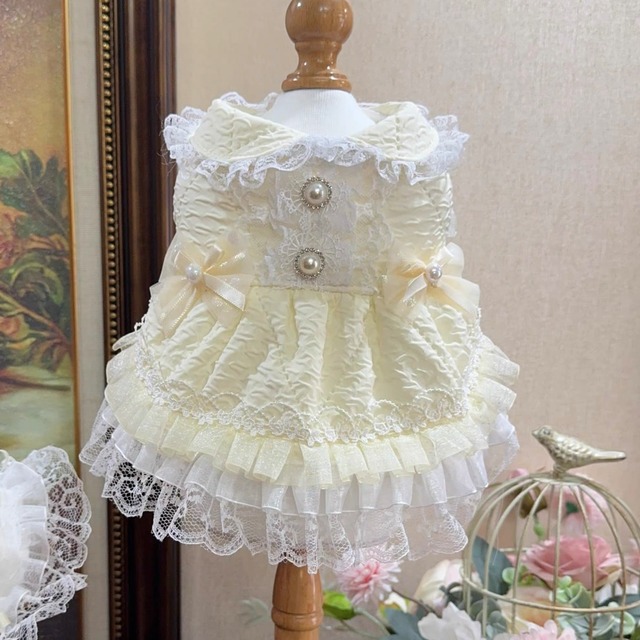 petit pearl lace dress