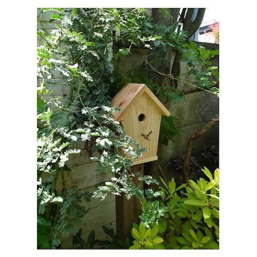 bird house