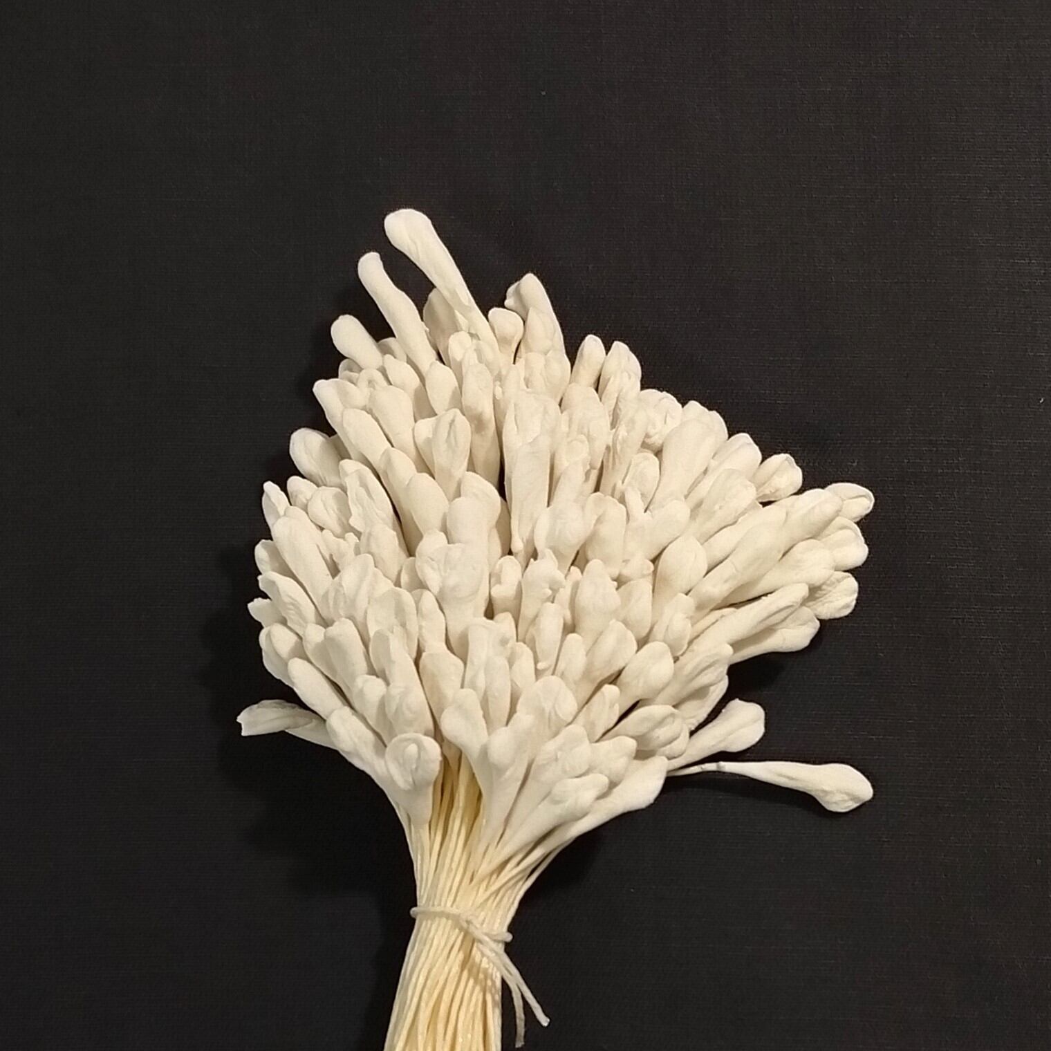 定番外】フラワーペップ ユリ L(大) 1グロス×2束 ペップ | nishidahat