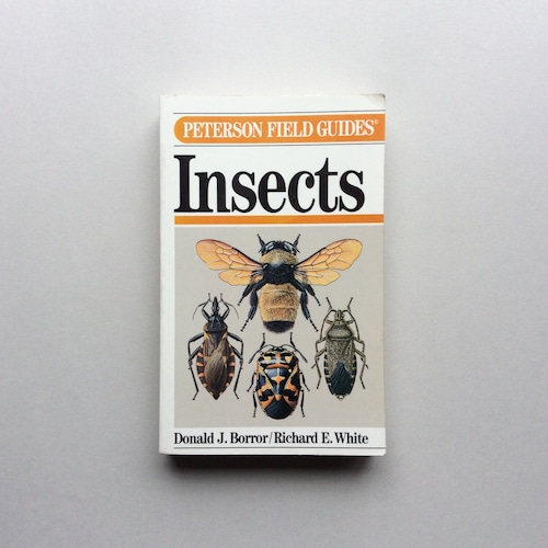 A Field Guide to the Insects America North of Mexico