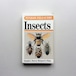 A Field Guide to the Insects America North of Mexico
