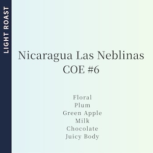 【ラストストック特別価格】Nicaragua Las Neblinas COE #6 85g (Light roast)
