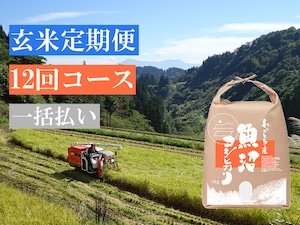 【玄米定期便 12回コース】令和５年産米 魚沼コシヒカリ 特別栽培米 5kg【一括払い】