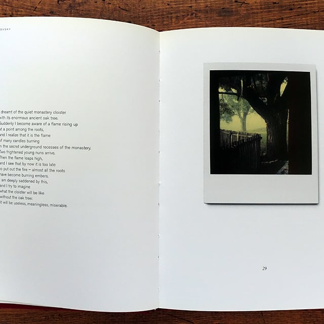 A.タルコフスキー Instant Light Tarkovsky Polaroids | タイムカプセル