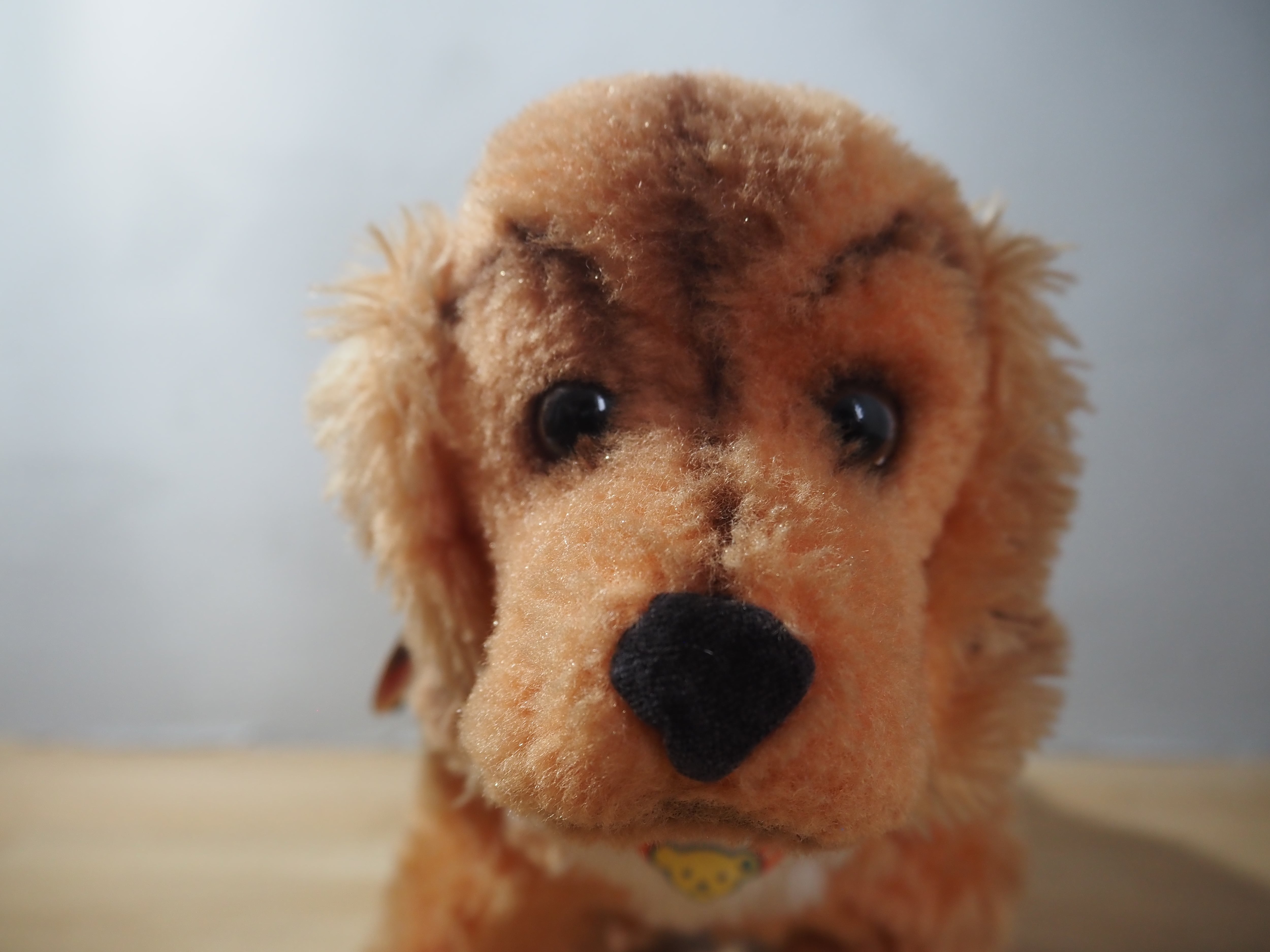 オールド シュタイフ コッカースパニエル Steiff Cosy Cockie 22cm