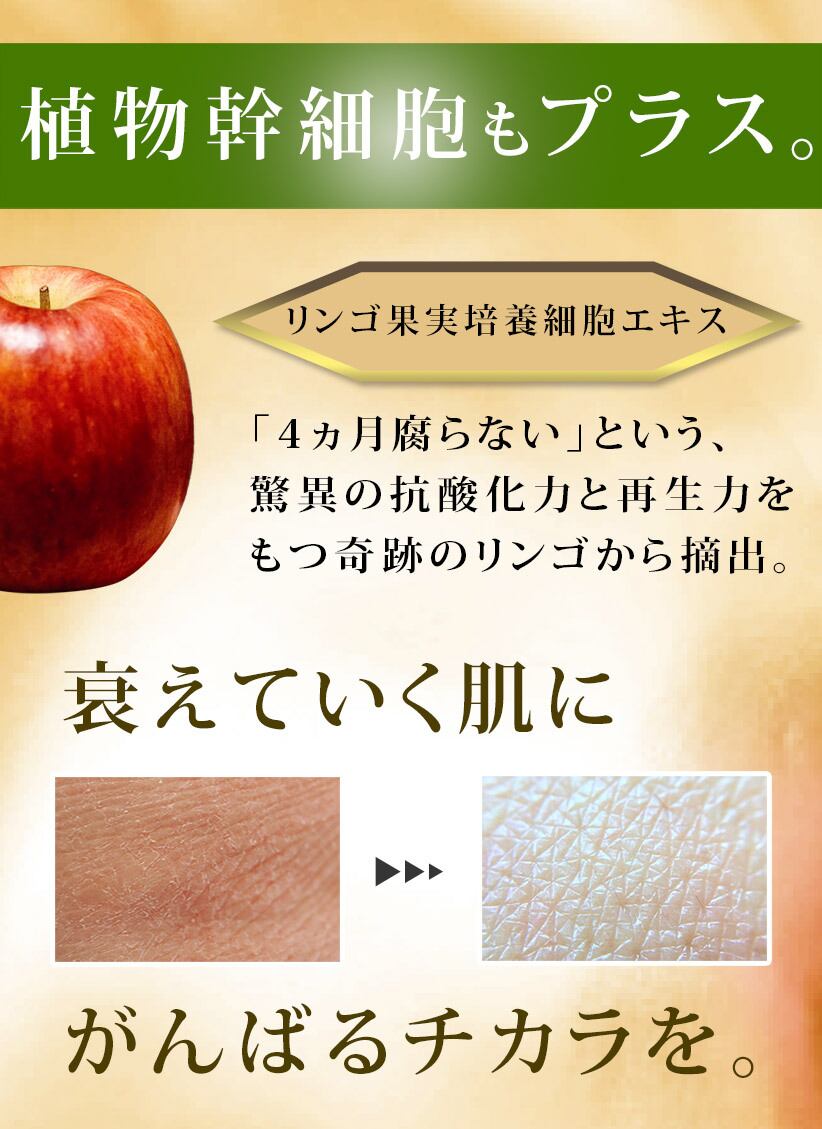 Educe Beaute Premium Care プレミアムケア フェイスマスク A Piece Of Luxury Educe Beaute Premium Care プレミアムケア フェイスマスク A Piece Of Luxury