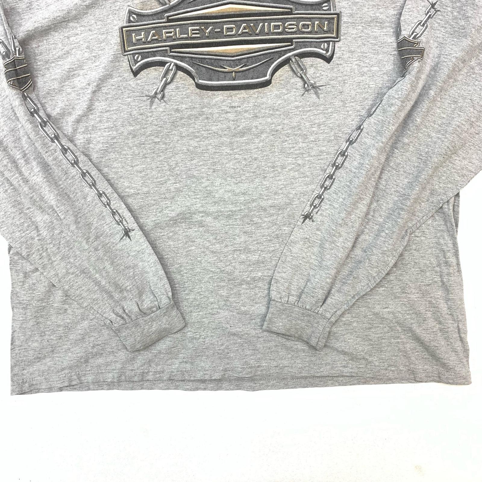HARLEY-DAVIDSON ハーレーダビットソン 長袖Tシャツ 00年代 BIG BOAR