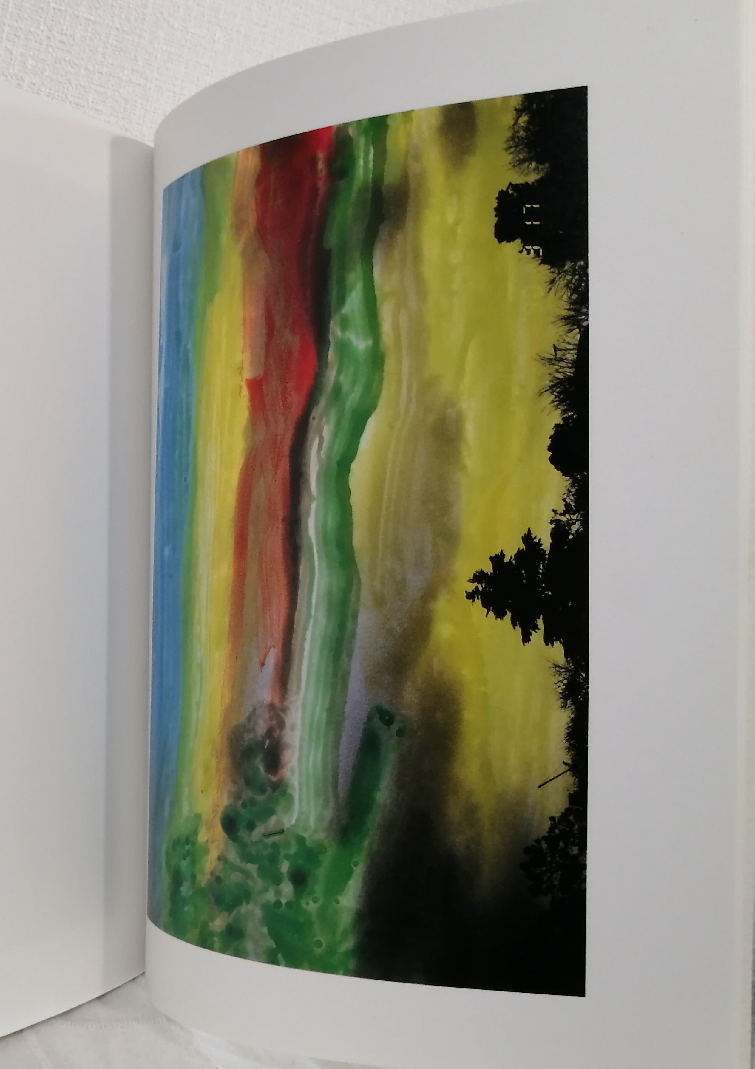 荒木経惟 NOBUYOSHI ARAKI 空景/近景 LAMENTS skyscapes / LAMENTS