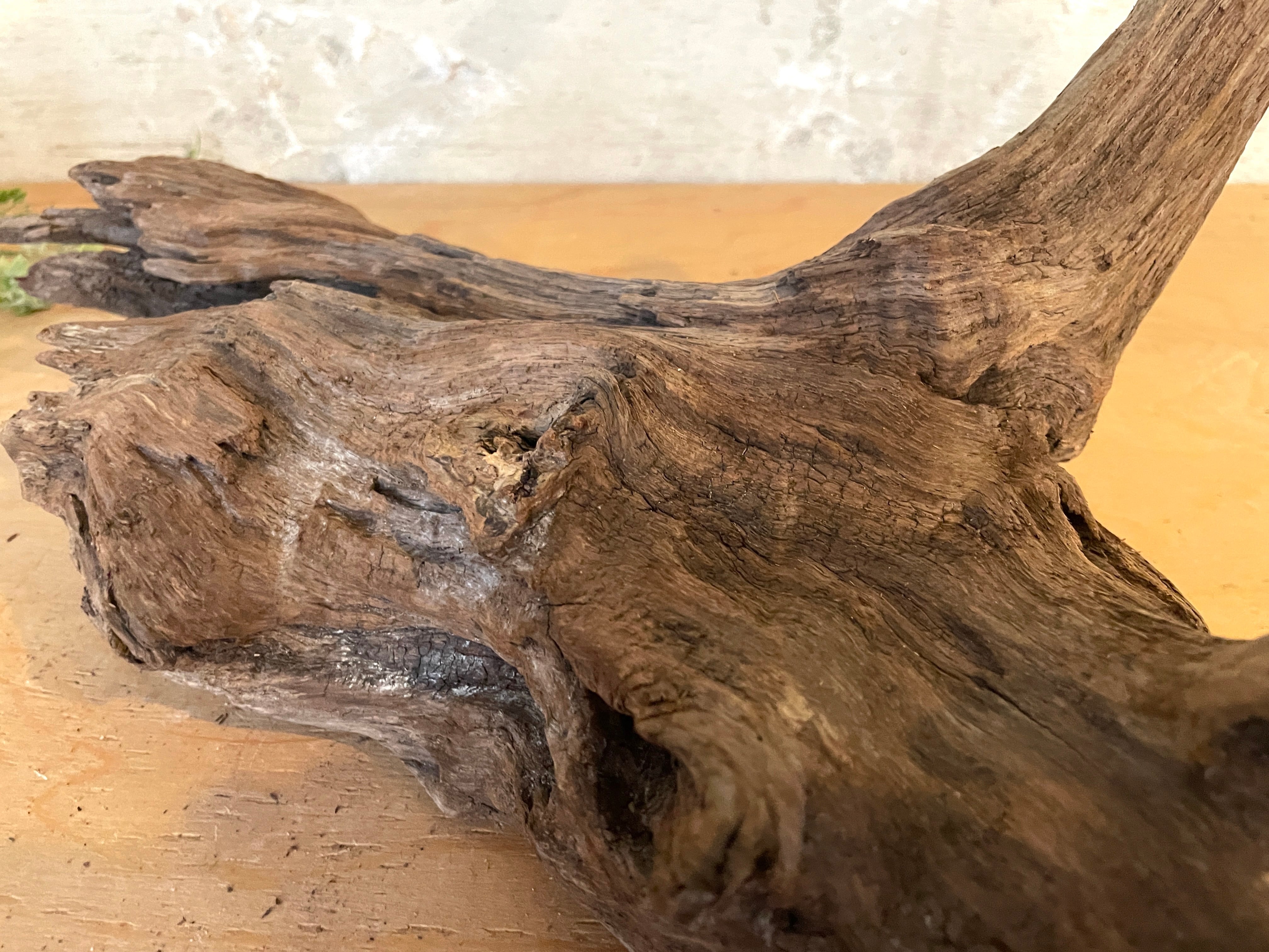 流木販売専門店 山の流木