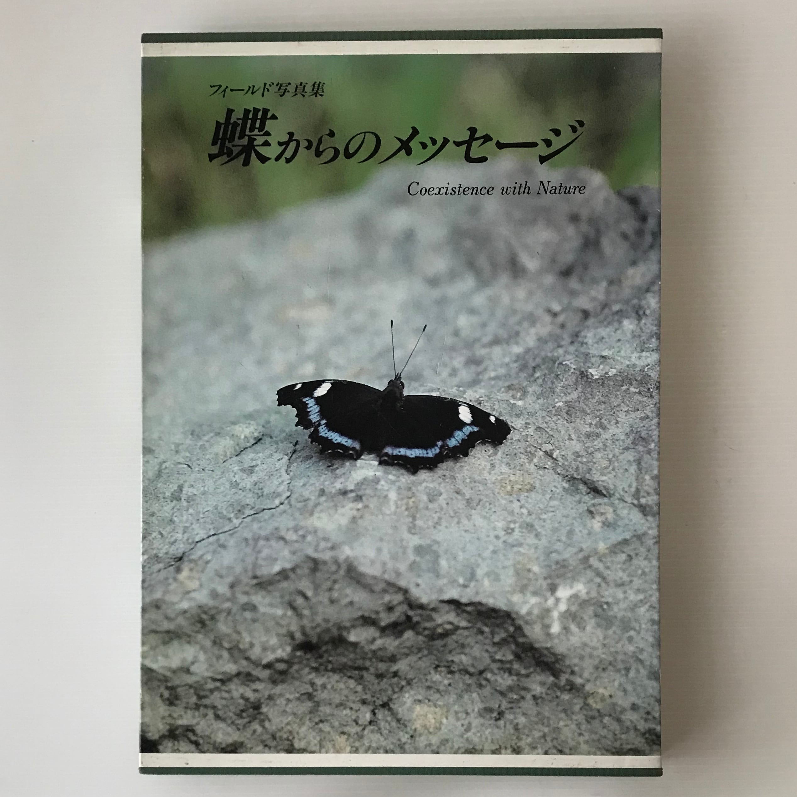 蝶からのメッセージ : フィールド写真集 難波通孝, 三宅誠治 共著 | 古